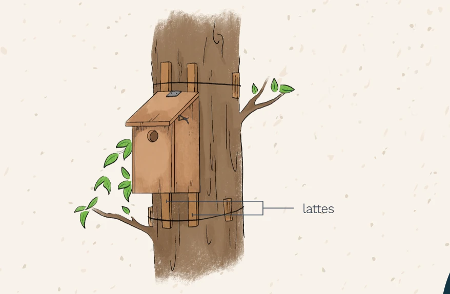 Construire un Gîte à chauve-souris et un Nichoire à oiseaux