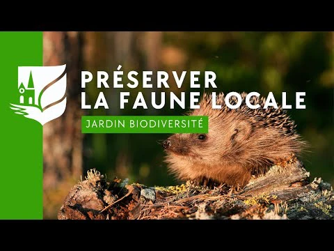 Épisode 1 | Jardin Biodiversité - Préserver la faune locale !